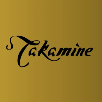 Takamine Guitars retailer ireland