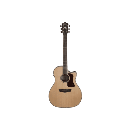 Washburn HG26SCE