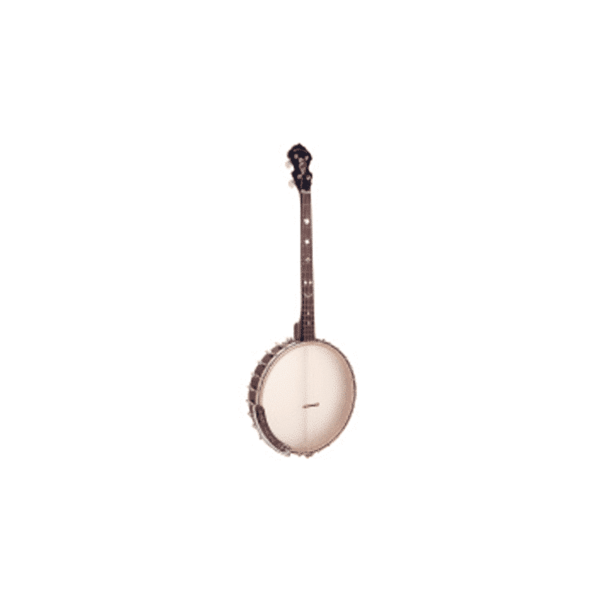 Irish tenor banjo with 19 frets, bag included